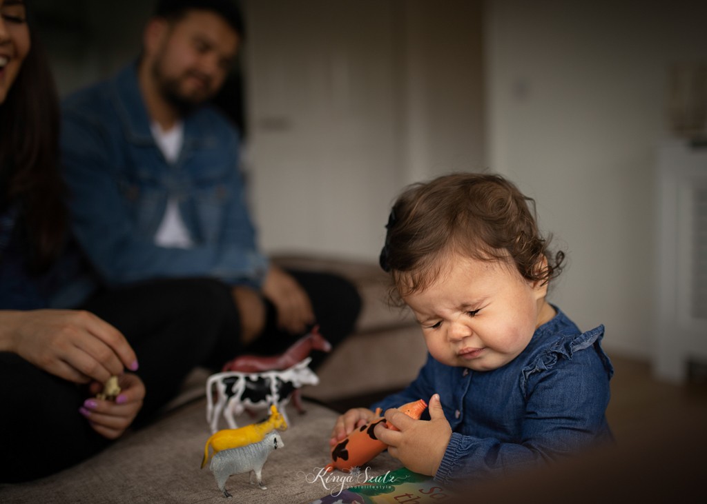 one year old baby girl in denim dress sneezing then playing with the farm animals toys, family photoshoot at home, living room
