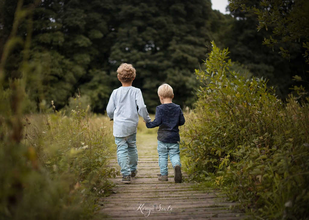 two pre school brothers walking on the wooden path at the Mugdock Country Park, children fall portrait