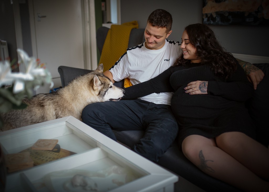 pregnancy couple in home photoshoot with husky dog