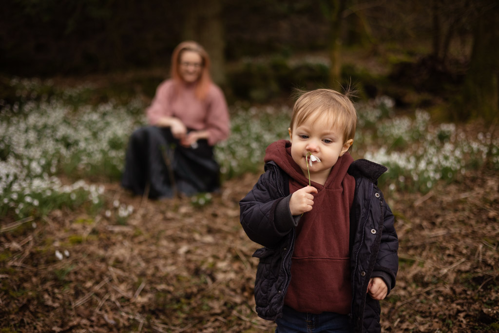 Young boy holding a snowdrop during an outdoor family photoshoot in Glasgow
