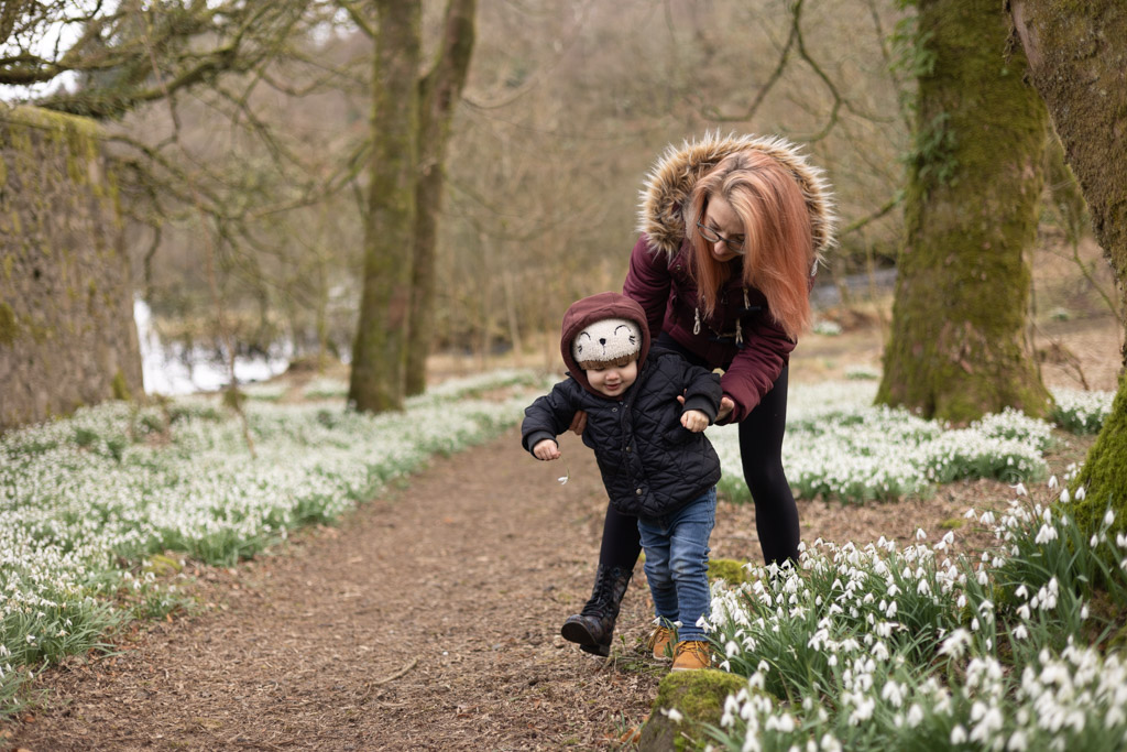 mum walking with her toddler among snowdrops during a family photoshoot near Glasgow